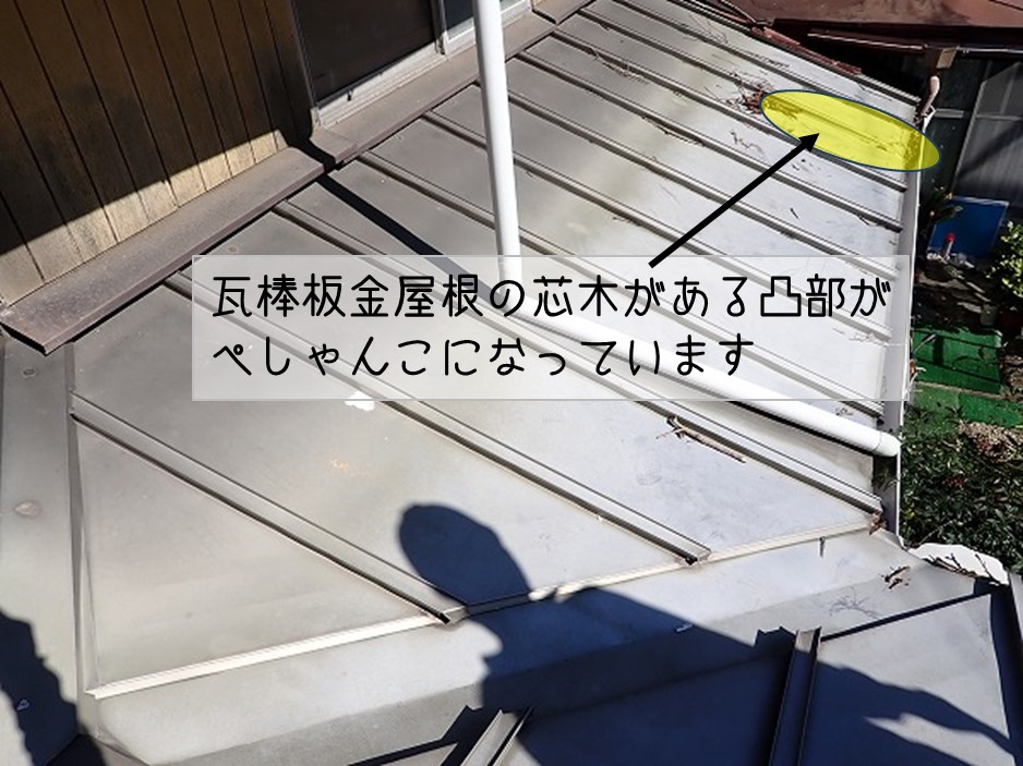 東広島市　倒木による1階板金屋根被害　現地調査